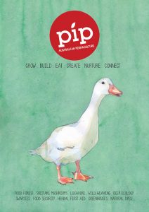 PIP-Cover-issue-1MR