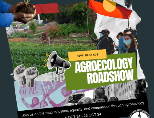 MEDIA RELEASE: AFSA calls on First Peoples, farmers and policymakers to attend its inaugural Agroecology Roadshow 2024